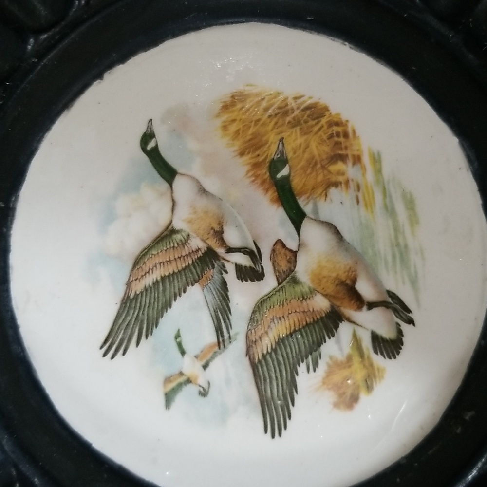🦆DUCK TRAY - Picture 3 of 10